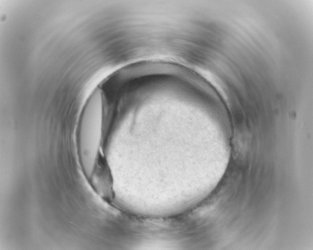 X0000088650959200706221607