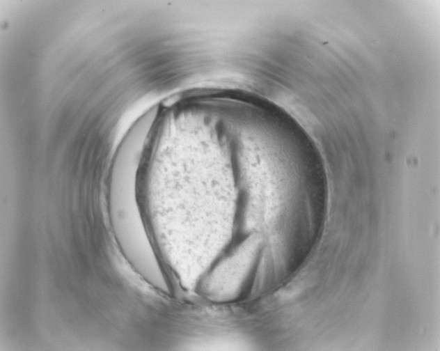 X0000088650960200706221607