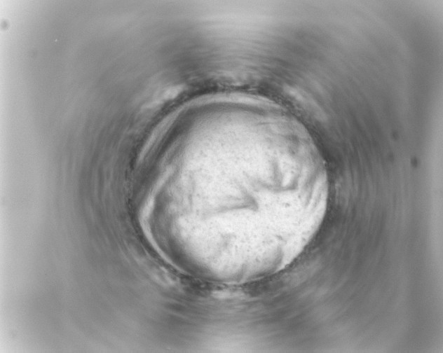 X0000088650961200706221606