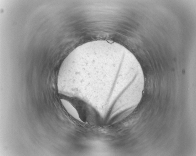 X0000088650962200706221606