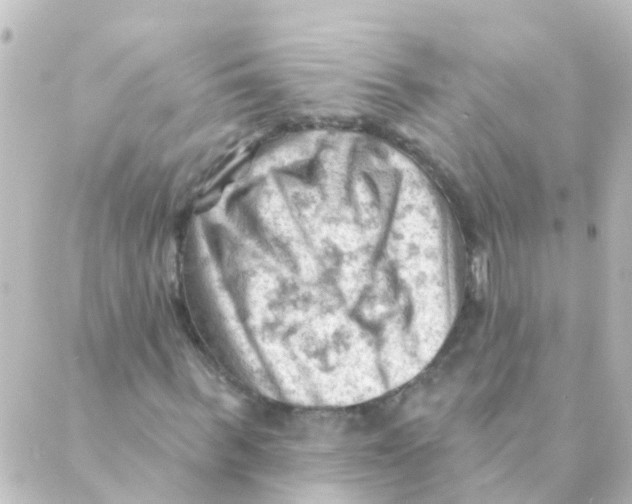 X0000088650963200706221606