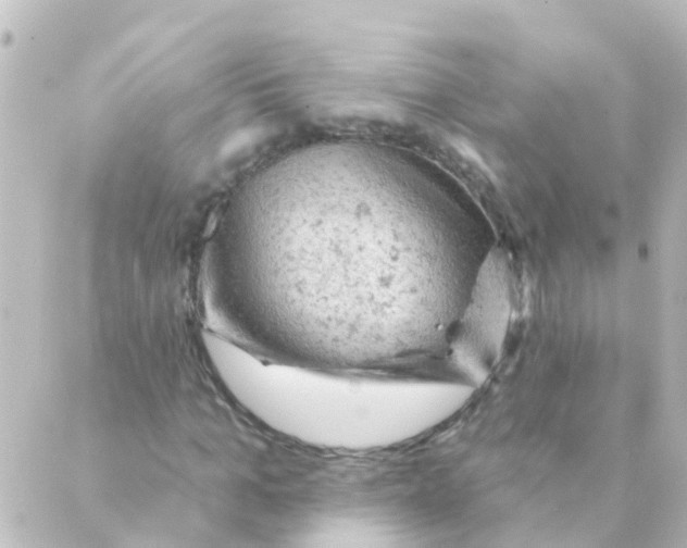 X0000088650965200706221606