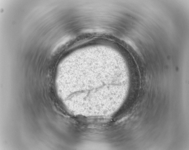 X0000088650967200706221606