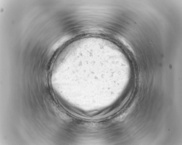 X0000088650970200706221606