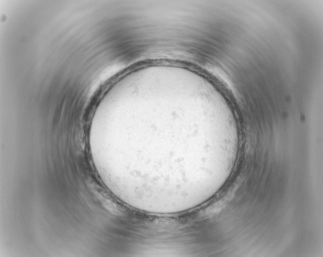 X0000088650974200706221606