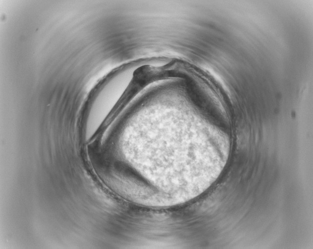 X0000088650975200706221606