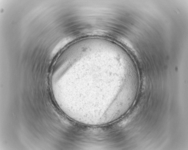 X0000088650978200706221606