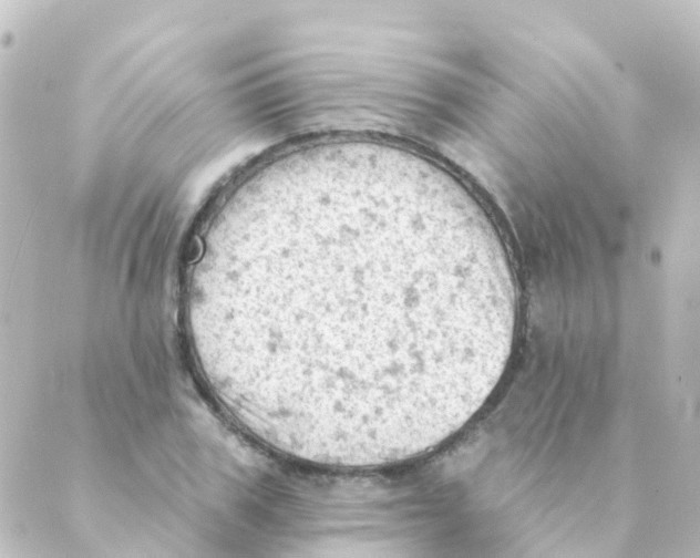 X0000088650979200706221606