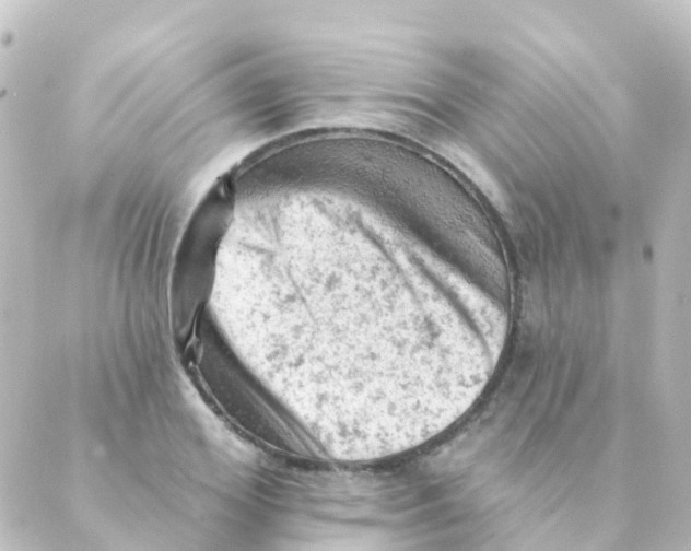 X0000088650980200706221606