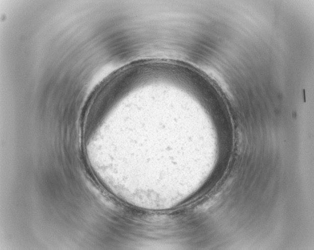 X0000088650982200706221606