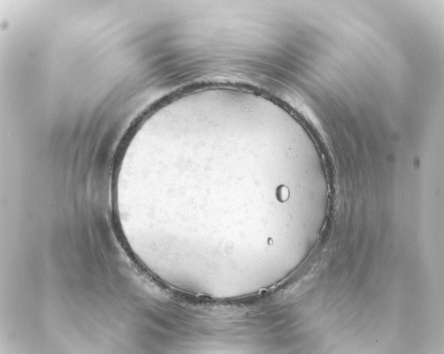 X0000088650984200706221606