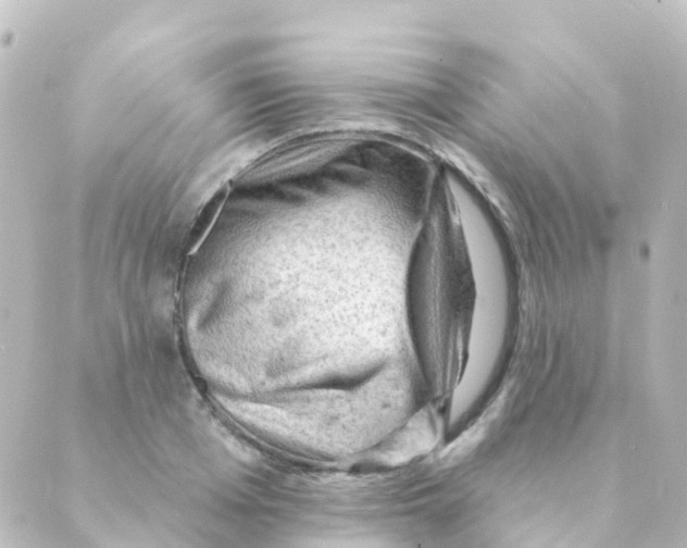 X0000088650985200706221606