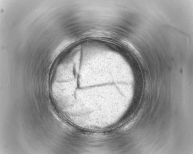 X0000088650986200706221606