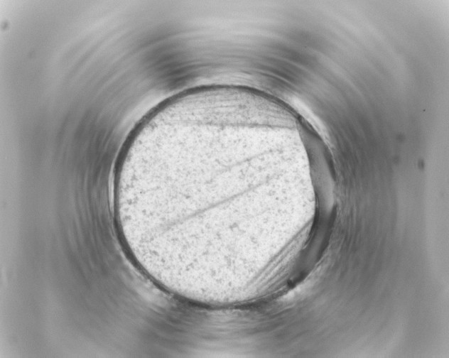 X0000088650988200706221606