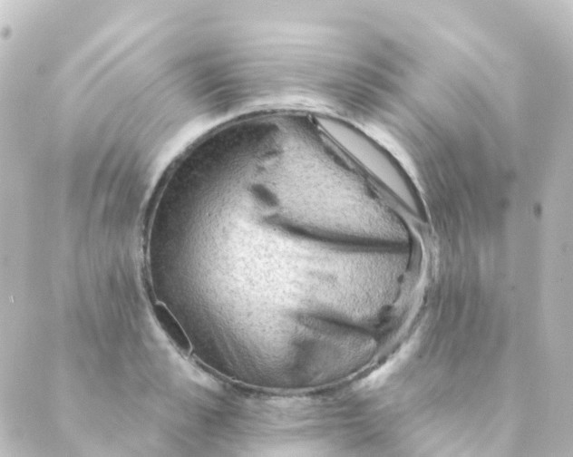 X0000088650989200706221606