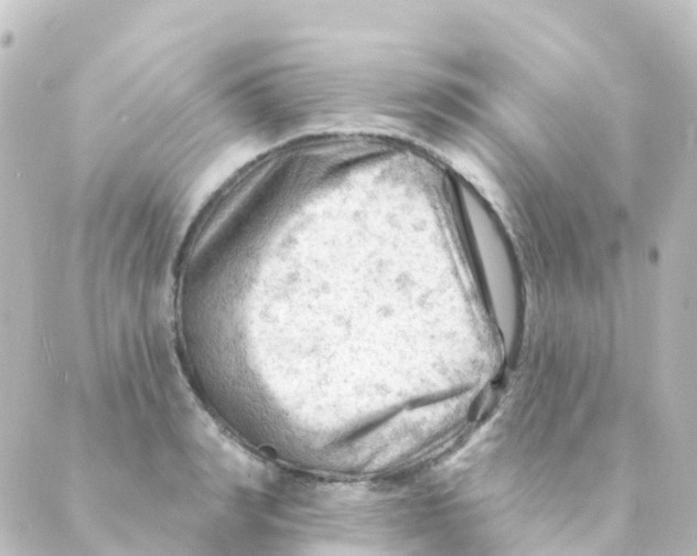 X0000088650990200706221606