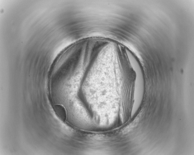 X0000088650991200706221606