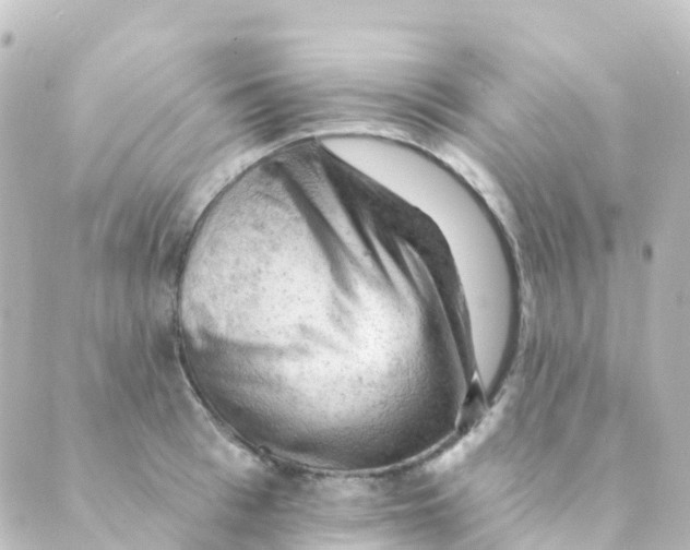 X0000088650993200706221606