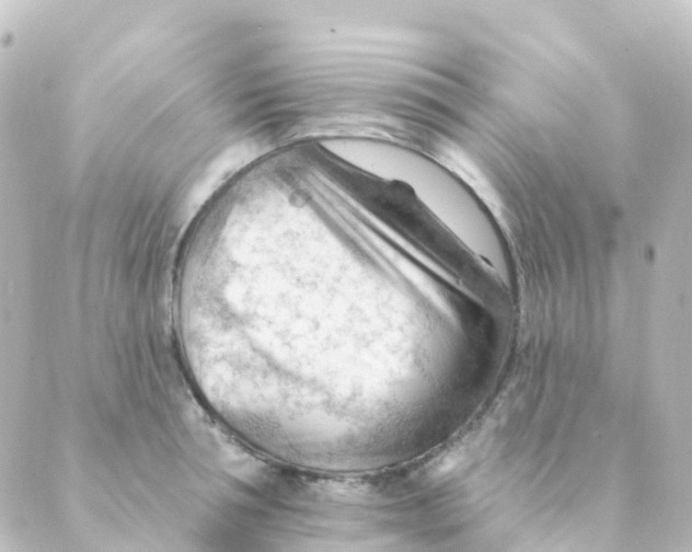 X0000088650994200706221606