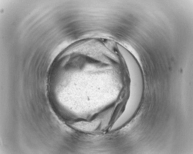 X0000088650997200706221606