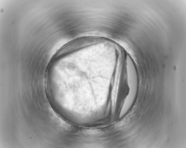 X0000088650998200706221606