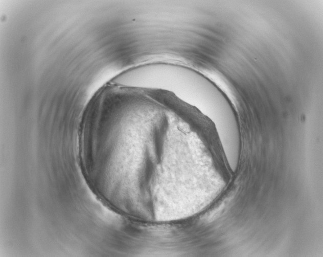 X0000088650999200706221606