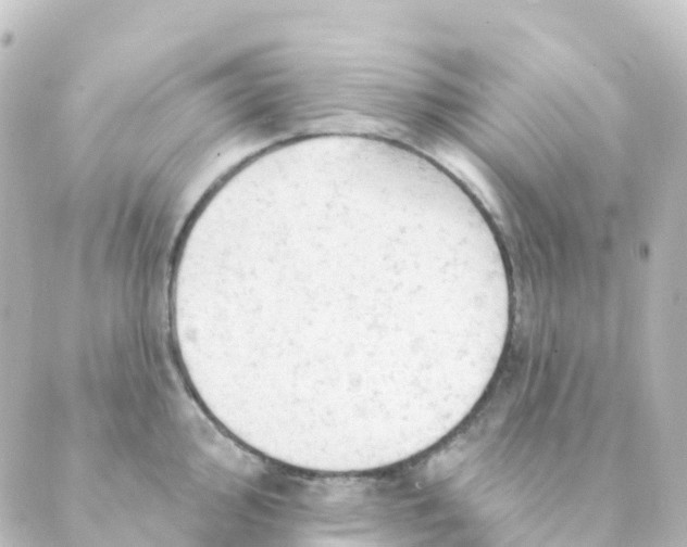 X0000088651000200706221606