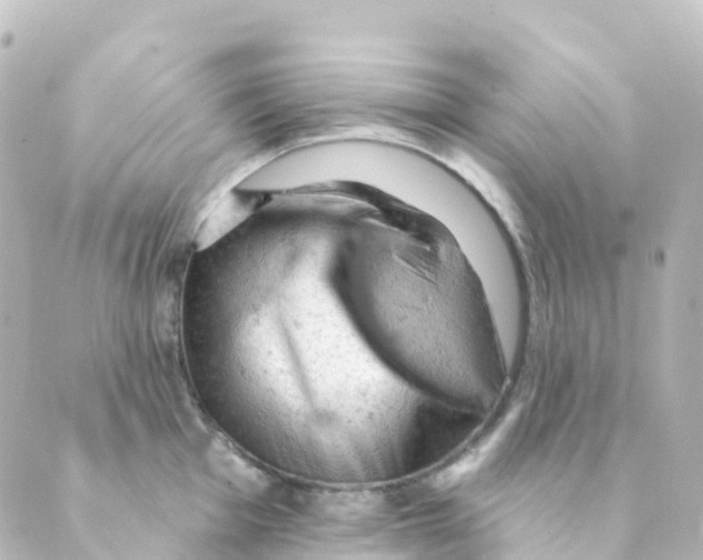 X0000088651001200706221606