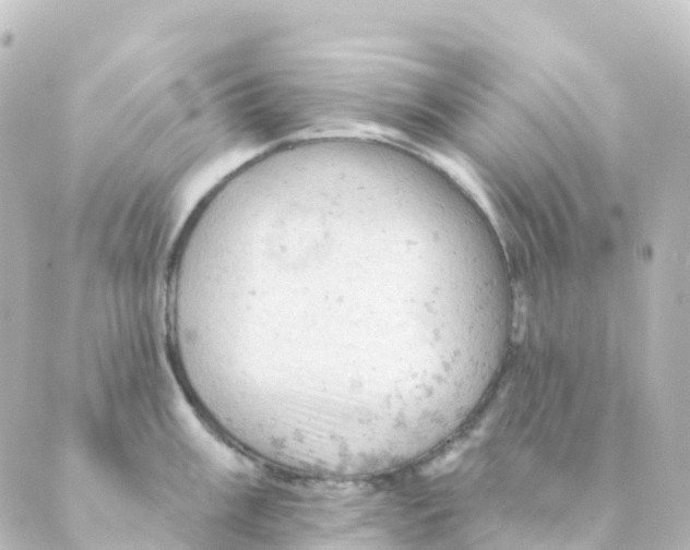 X0000088651003200706221606