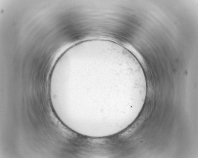 X0000088651004200706221606