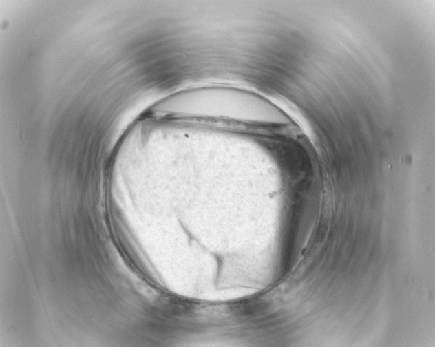 X0000088651006200706221606