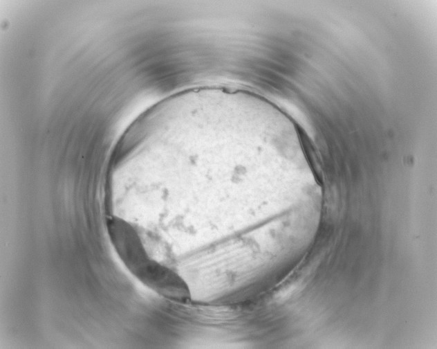 X0000088651007200706221606