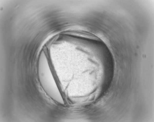 X0000088651008200706221606