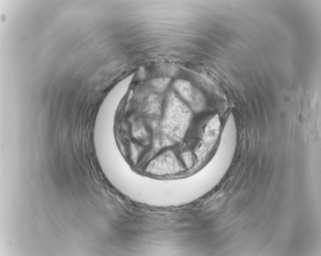 X0000088651010200706221605