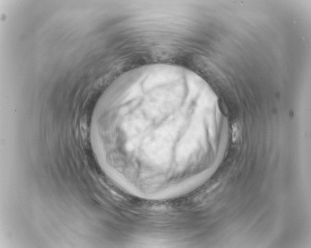 X0000088651011200706221605