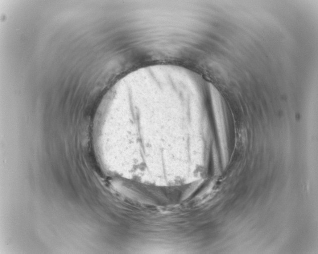 X0000088651012200706221605