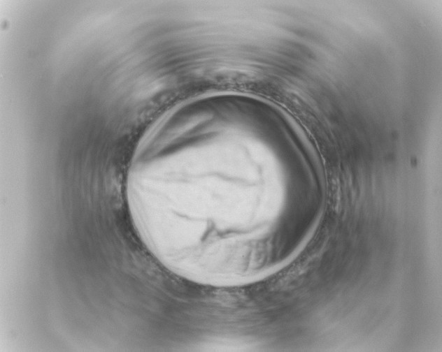 X0000088651013200706221605