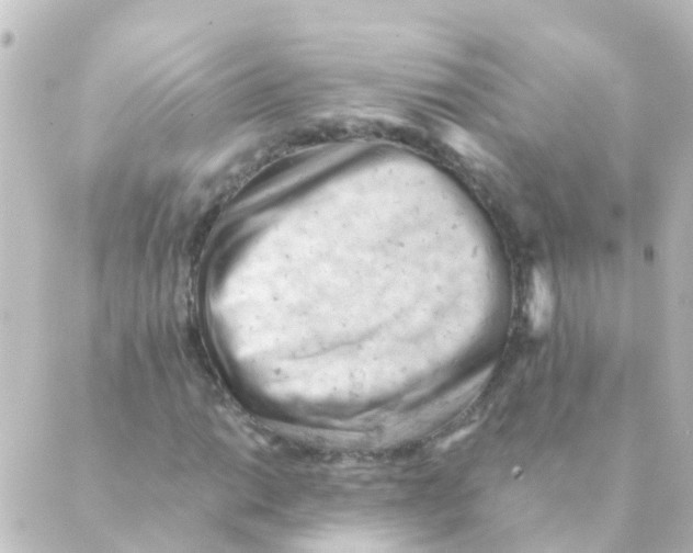 X0000088651014200706221605