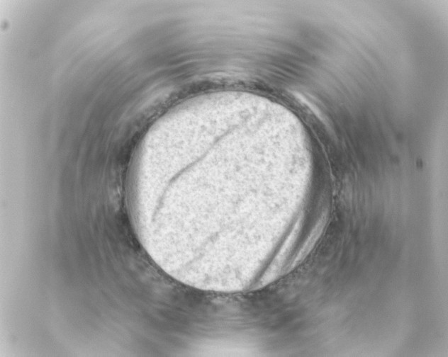 X0000088651015200706221605