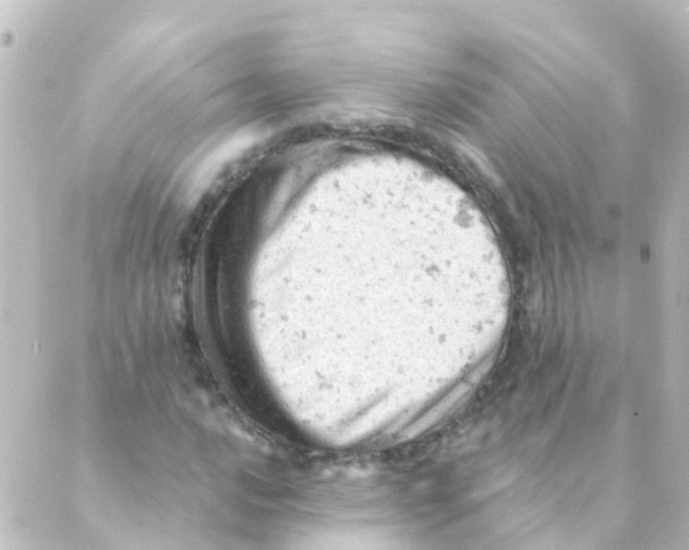 X0000088651016200706221605