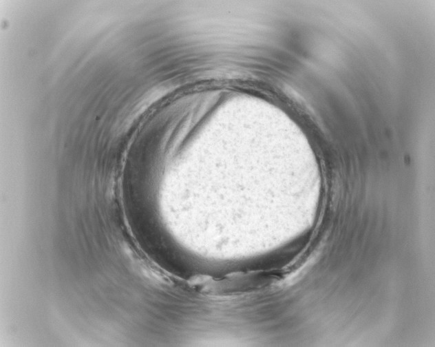 X0000088651017200706221605