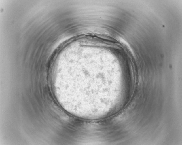 X0000088651019200706221605