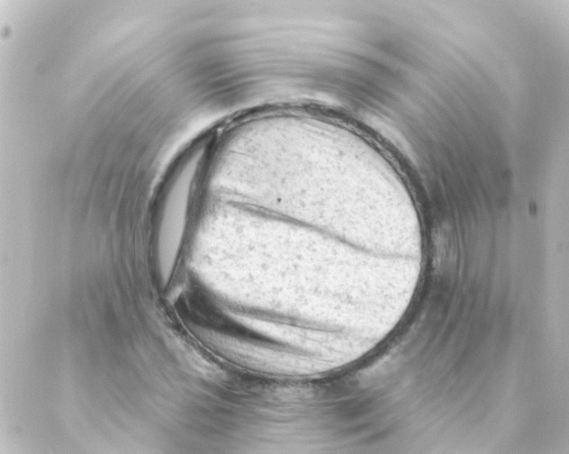 X0000088651021200706221605