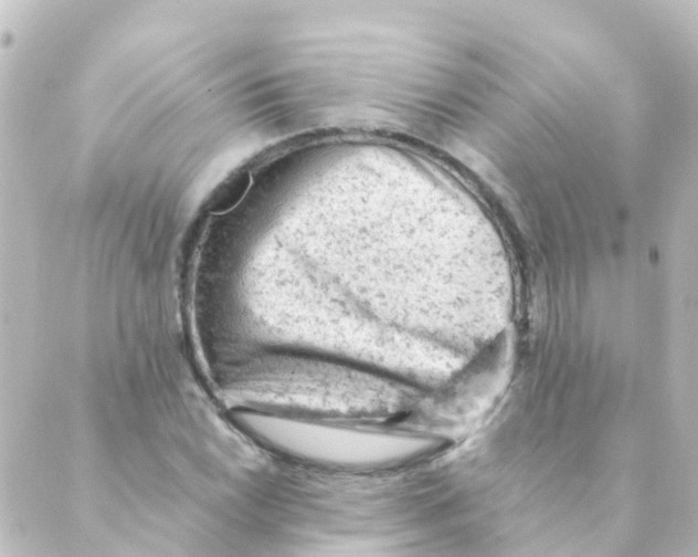 X0000088651022200706221605