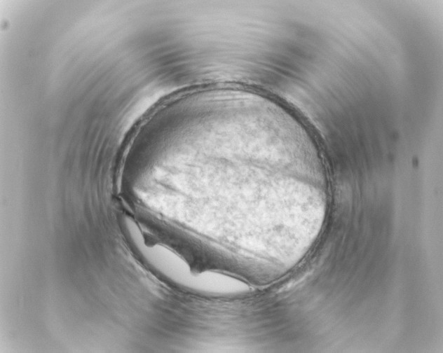 X0000088651023200706221605