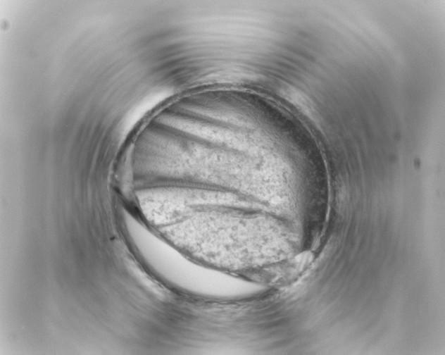 X0000088651026200706221605