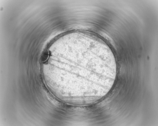 X0000088651027200706221605