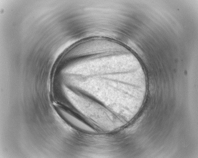 X0000088651028200706221605