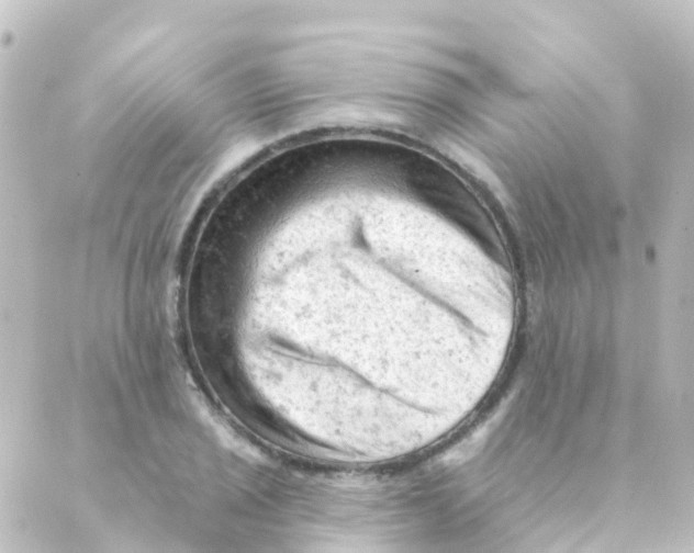 X0000088651029200706221605