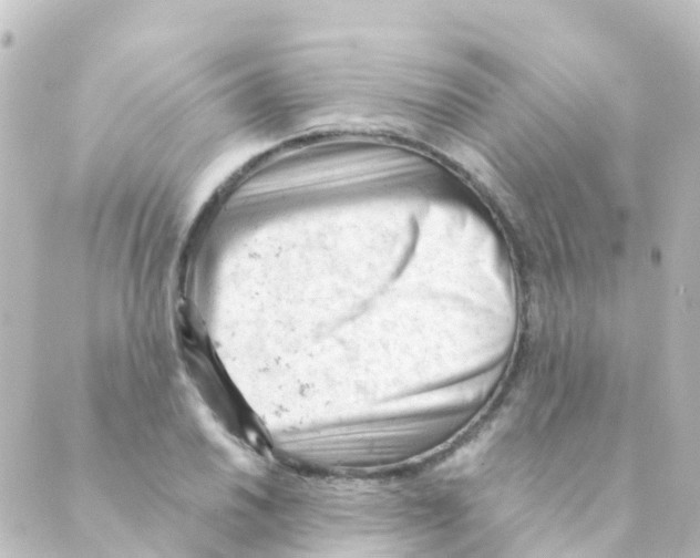 X0000088651030200706221605